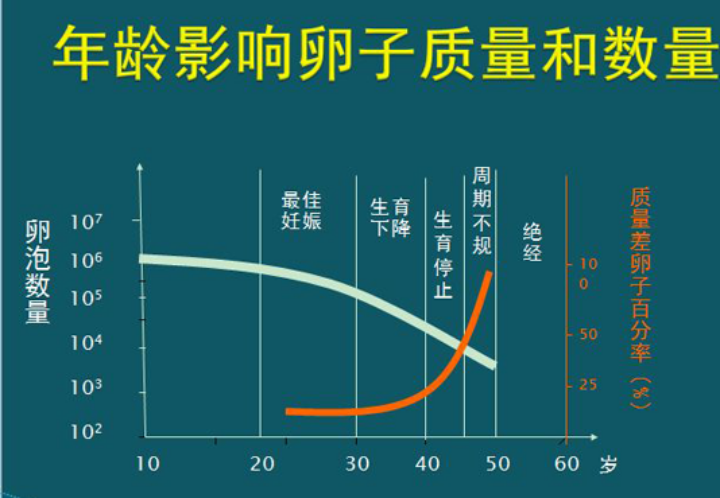 年龄影响卵子质量和数量