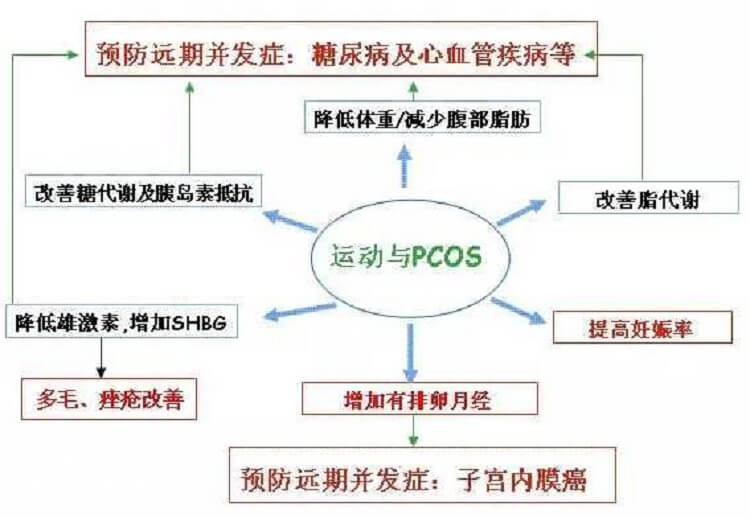 多囊卵巢综合症为什么要减肥