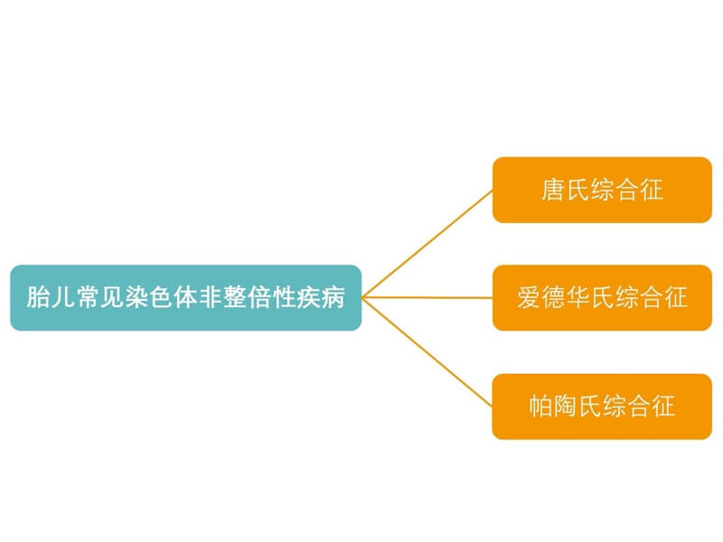 三体综合征的类型