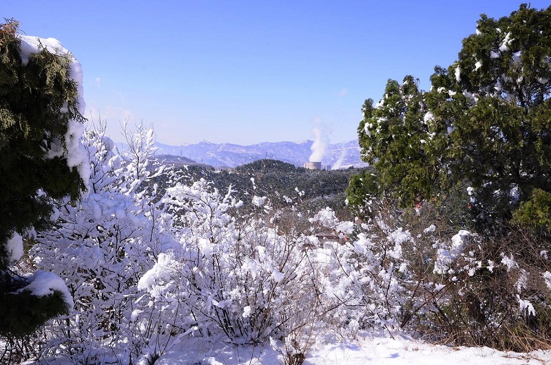 孕妇梦见雪是一件好事