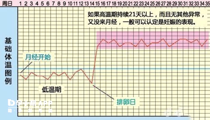 排卵日基础体温变化表