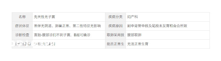 无子宫症状解说
