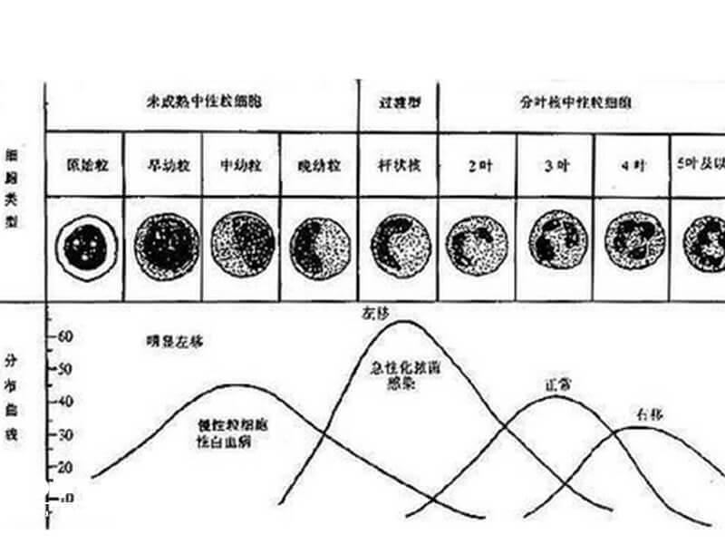 移植十七天孕酮正常数值