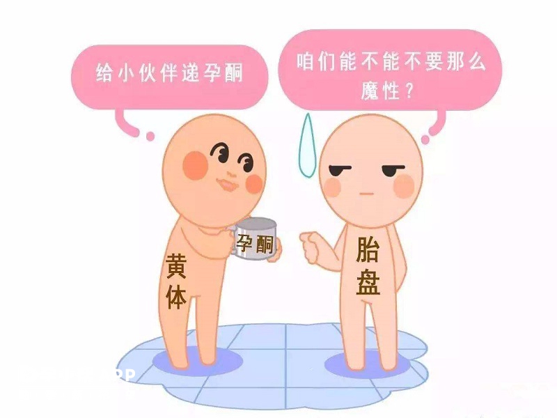 孕酮高不适合胚胎着床