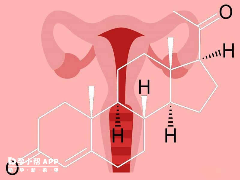 孕酮和雌二醇两个一样重要