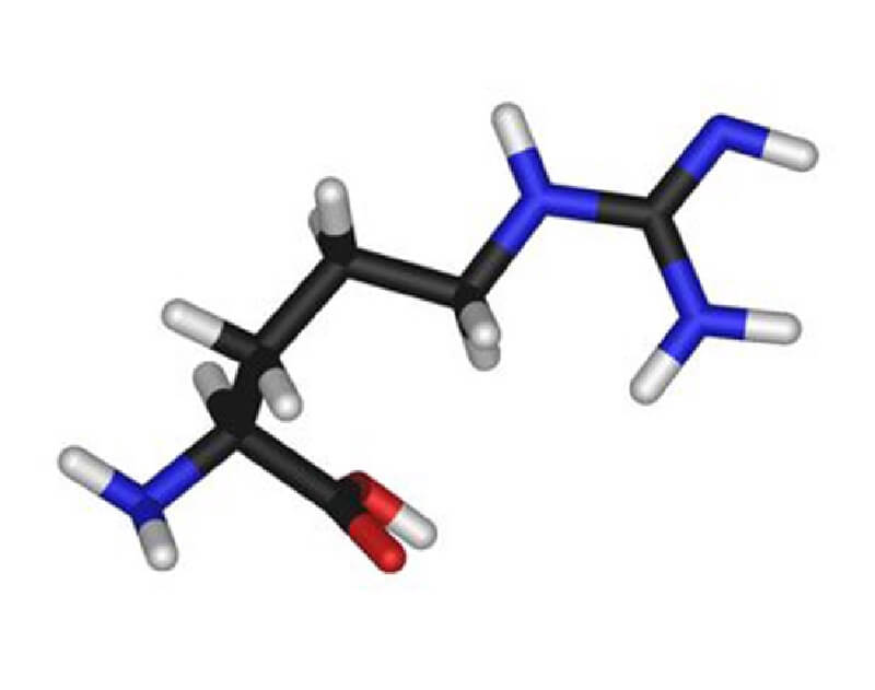 精氨酸对人体有利