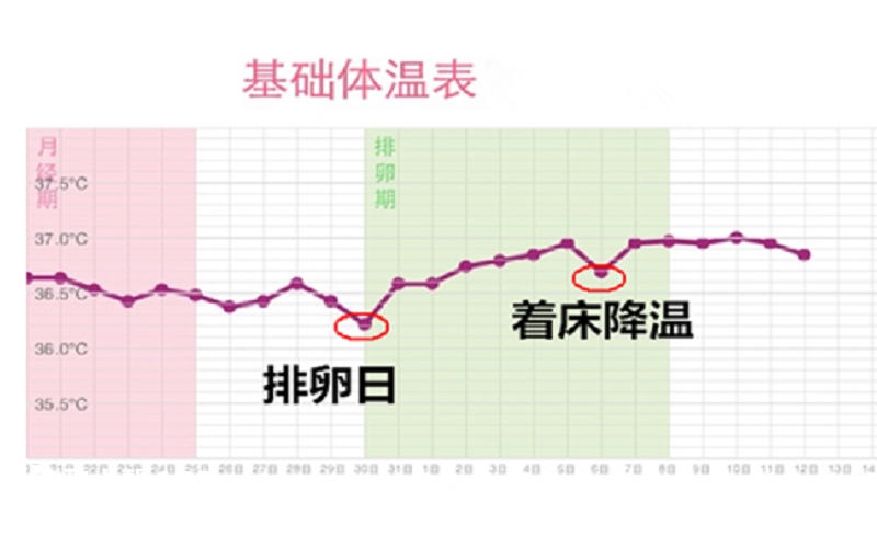 标准的着床降温图