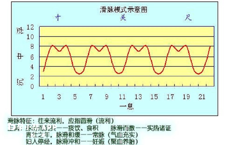 滑脉摸起来的感觉