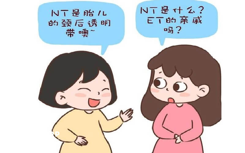 Nt检查的意思