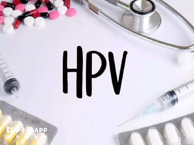 二价四价九价hpv疫苗的区别