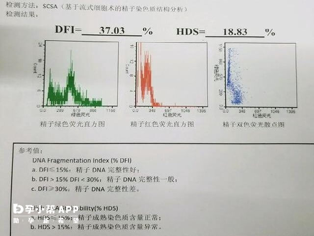 精子dna碎片报告单