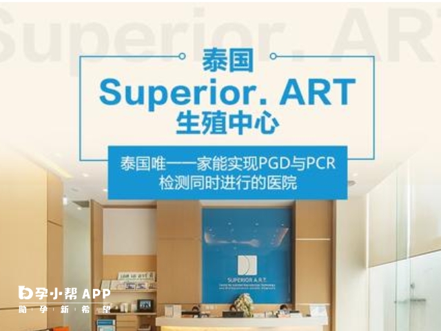 Superior ART医院