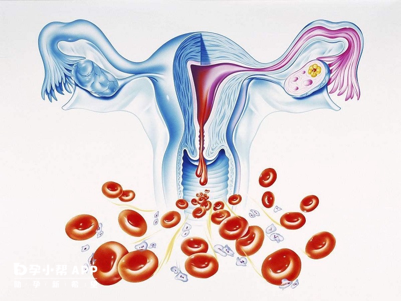 子宫内膜薄治疗方法