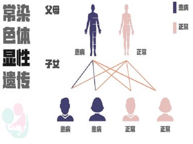 常染色体显性遗传的规律