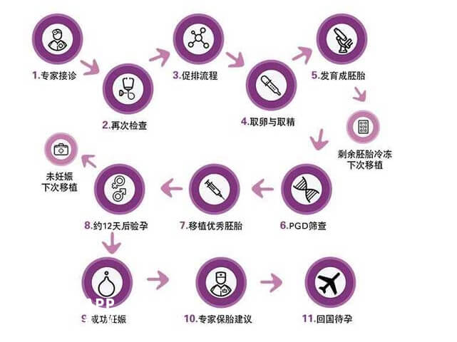 泰国试管婴儿流程图