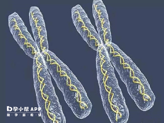 试管移植失败后可以做染色体检查