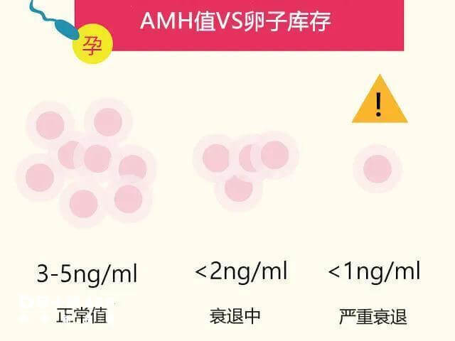 amh小于1