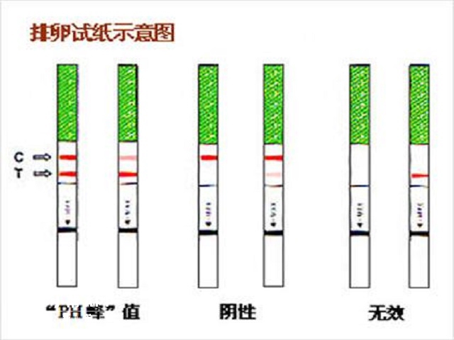 排卵试纸可以监测排卵