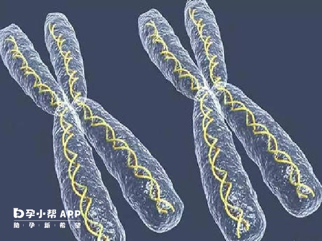 有染色体疾病的人才可以选择胎儿性别