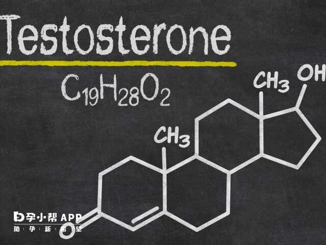 睾酮测定主要检查男性睾酮水平情况