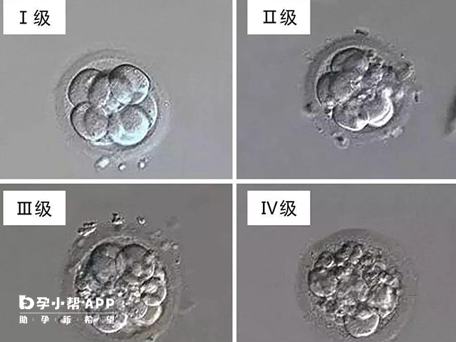 囊胚解冻后可能会升级