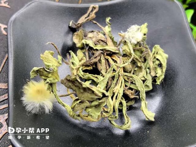 卵巢囊肿喝蒲公英只有消炎作用