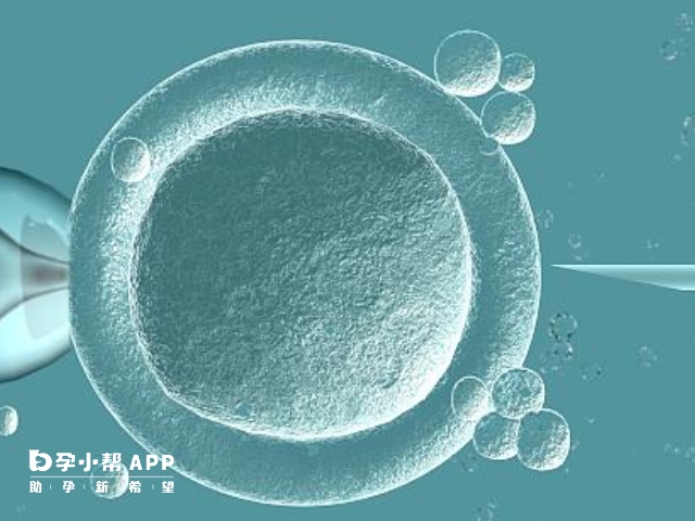 30岁以下子宫肌瘤患者试管成功率在30%