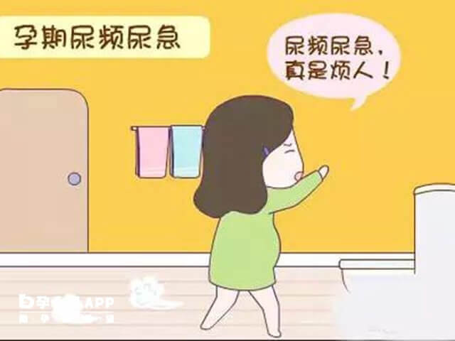 尿频症状