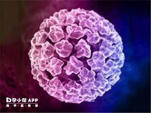 hpv52比hpv68更难治