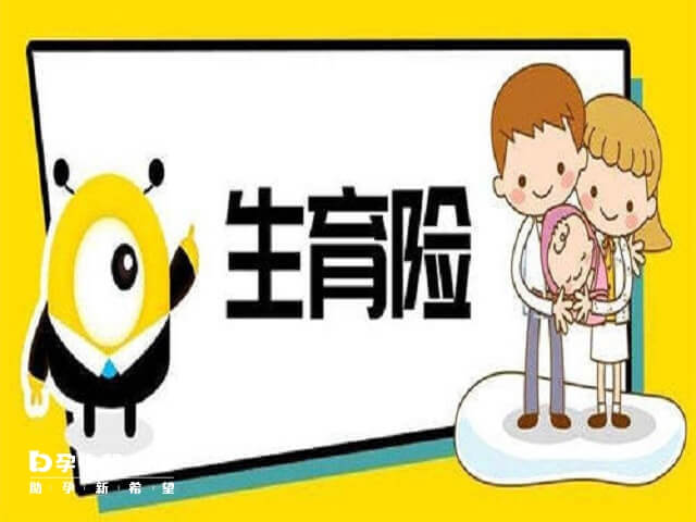 生育险必须在怀孕三个月内登记备案