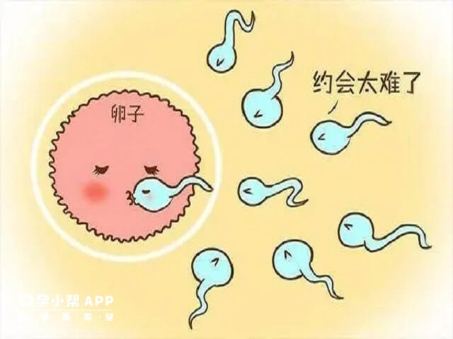 精子活力为零可能是先天的