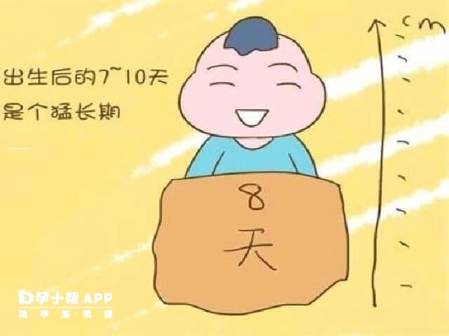 猛涨期一般在出生后的7到10天