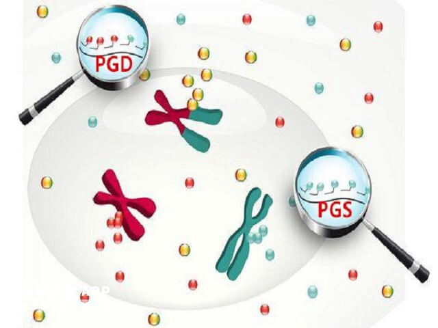 囊胚pgs通过率和夫妻双方有关