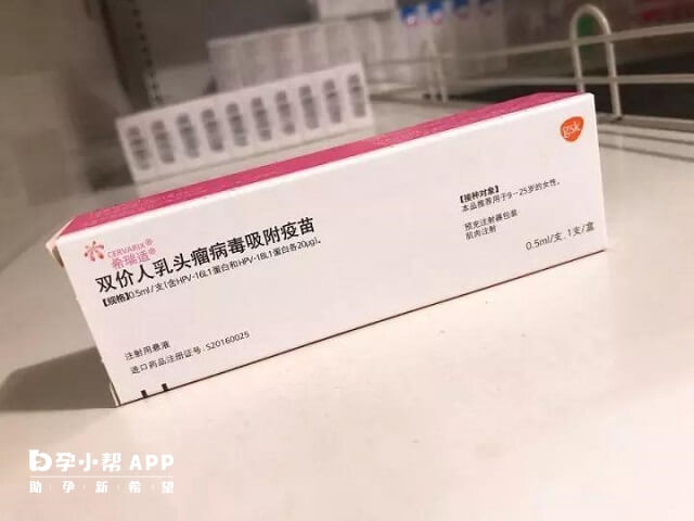 29岁的女性可以打二价也可以打四价