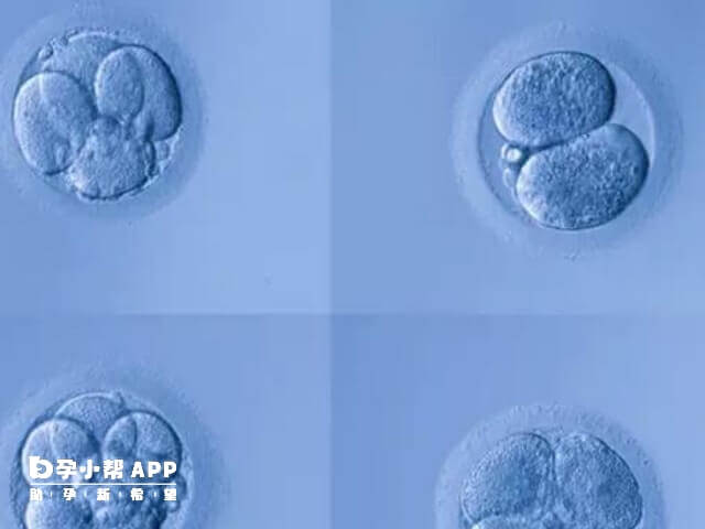 有囊胚移植后13天才测到的情况