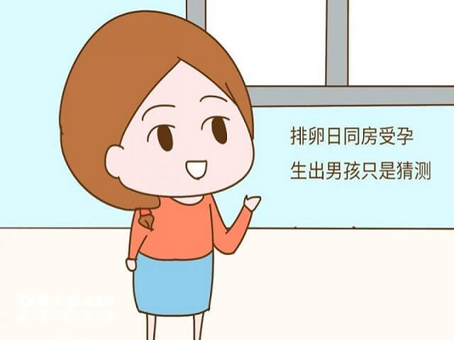 排卵后第二天同房不一定会生男孩