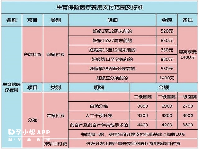 生育报销医疗费用支付范围及标准