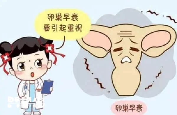 卵巢早衰引起卵泡萎缩