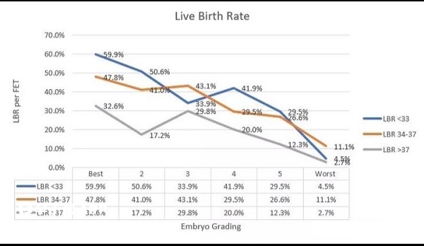 胚胎评分看成功率