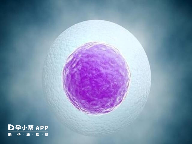 6级代表已经孵化的囊胚