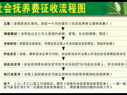 社会抚养金征收流程