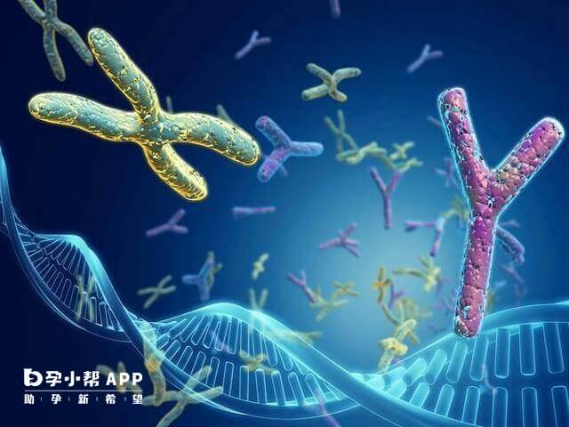 21三体高风险精子卵子都可能有问题