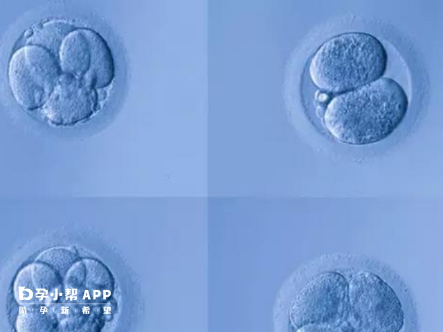 amh0.37卵子数量很少