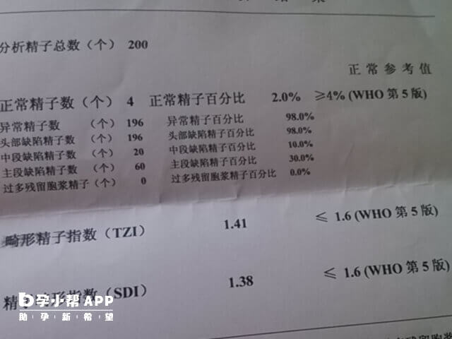 精子报告中需要看精液量