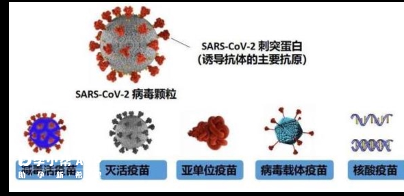 新冠疫苗的研发路线