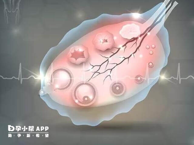 夜针后卵泡提前排掉可能是坚持出错了