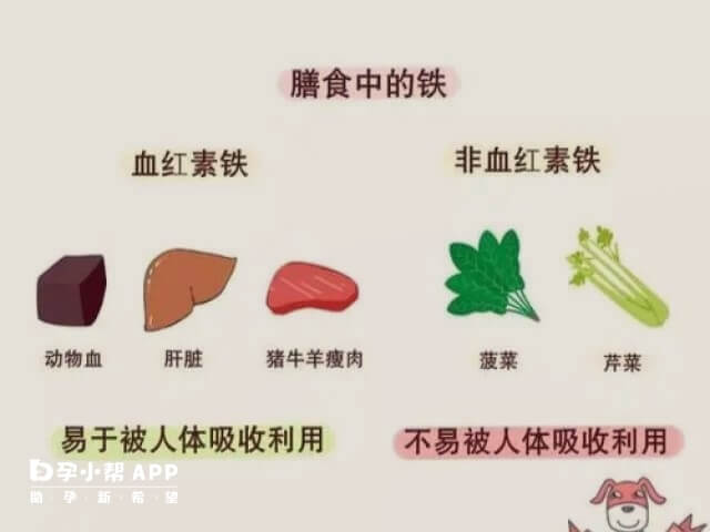 6个月后宝宝就需要从辅食中补充铁元素