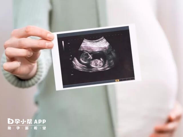 女性怀龙凤胎后肚子会变大