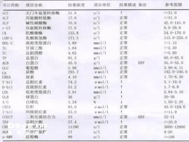 全血24项检查报告单中主要看的三项检查结果