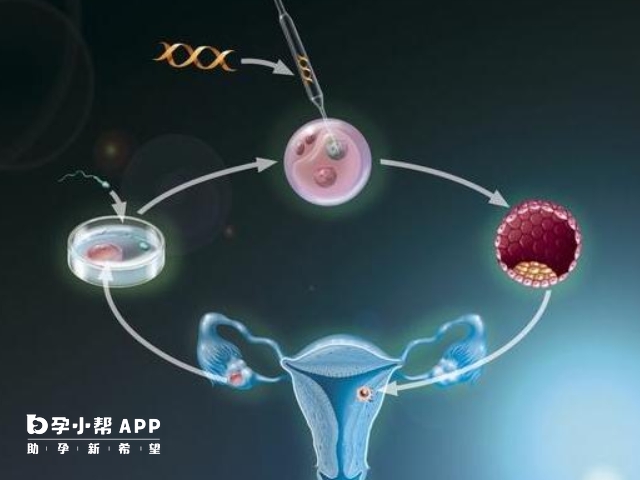 第四代试管可以解决卵子老化的情况